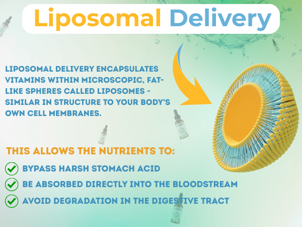 Liposomal Vitamin D3+K2 with MCT Oil and Organic Olive Oil